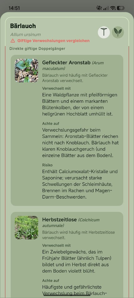 Pflanzendetailansicht mit Warnungen vor Verwechslungen